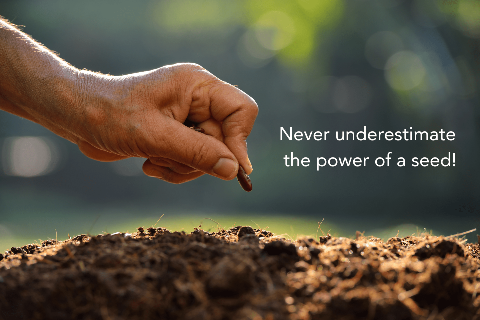 Never Underestimate the Power of a Seed